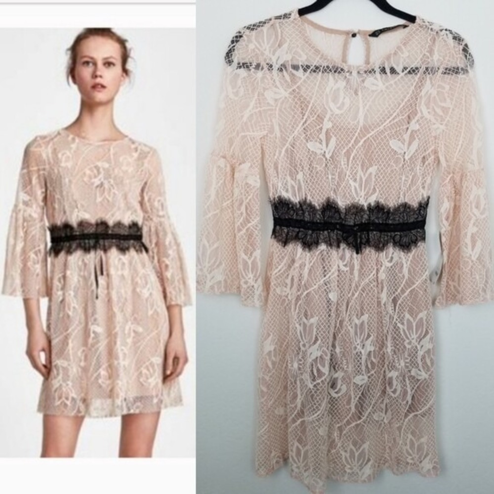 ZARA Women's Lace Dress Pale Pink with Black Belt with Bell Sleeves NWT Size M